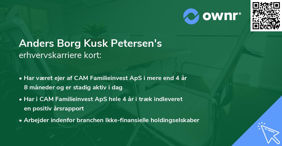 Anders Borg Kusk Petersen's erhvervskarriere kort