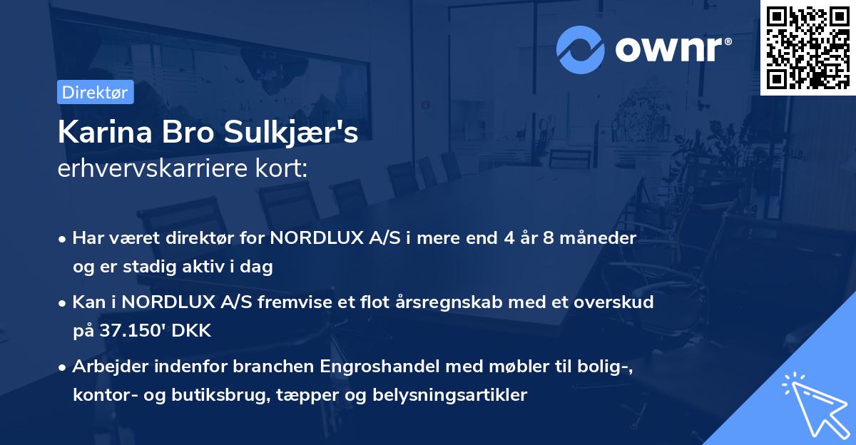Karina Bro Sulkjær's erhvervskarriere kort