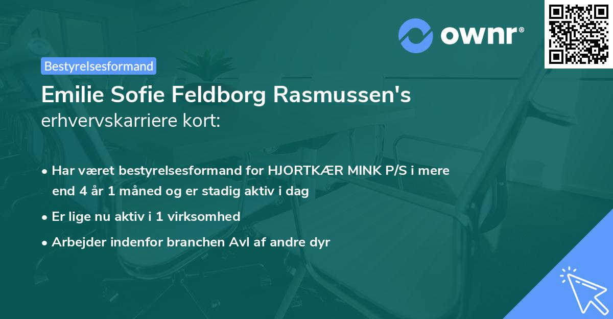 Emilie Sofie Feldborg Rasmussen's erhvervskarriere kort