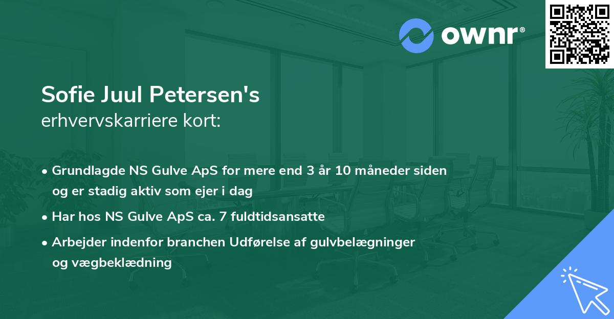 Sofie Juul Petersen's erhvervskarriere kort