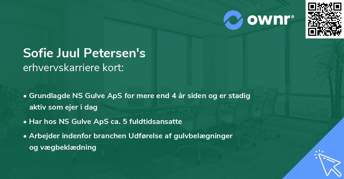 Sofie Juul Petersen's erhvervskarriere kort