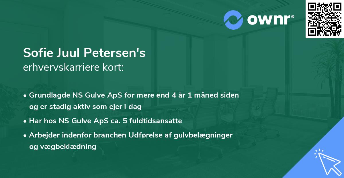 Sofie Juul Petersen's erhvervskarriere kort