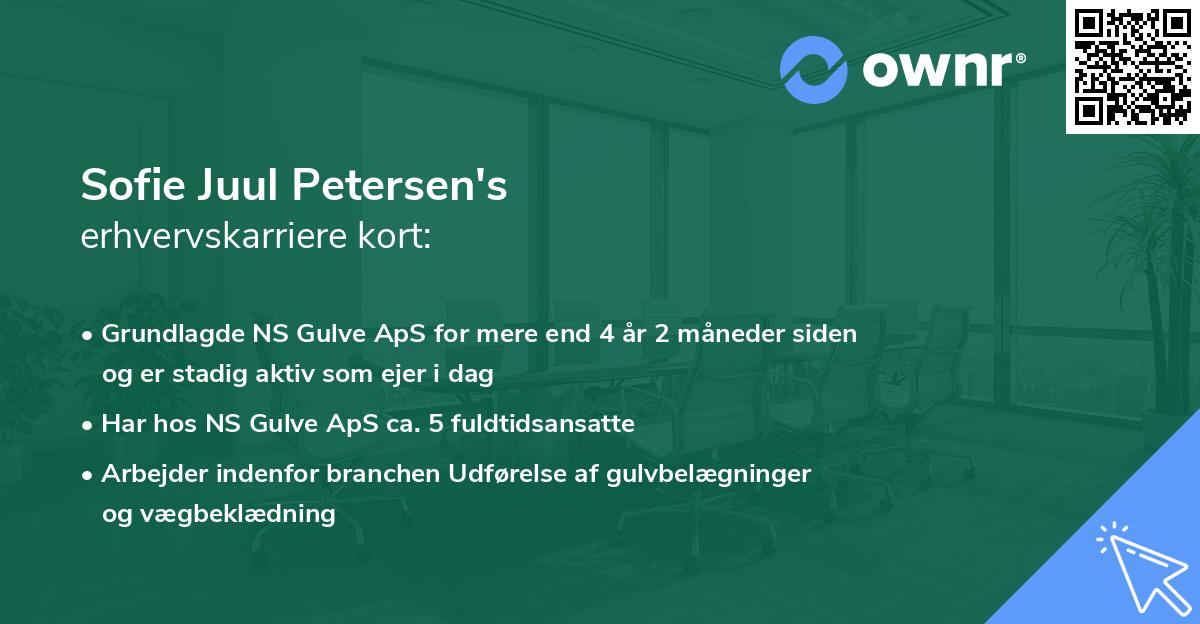 Sofie Juul Petersen's erhvervskarriere kort