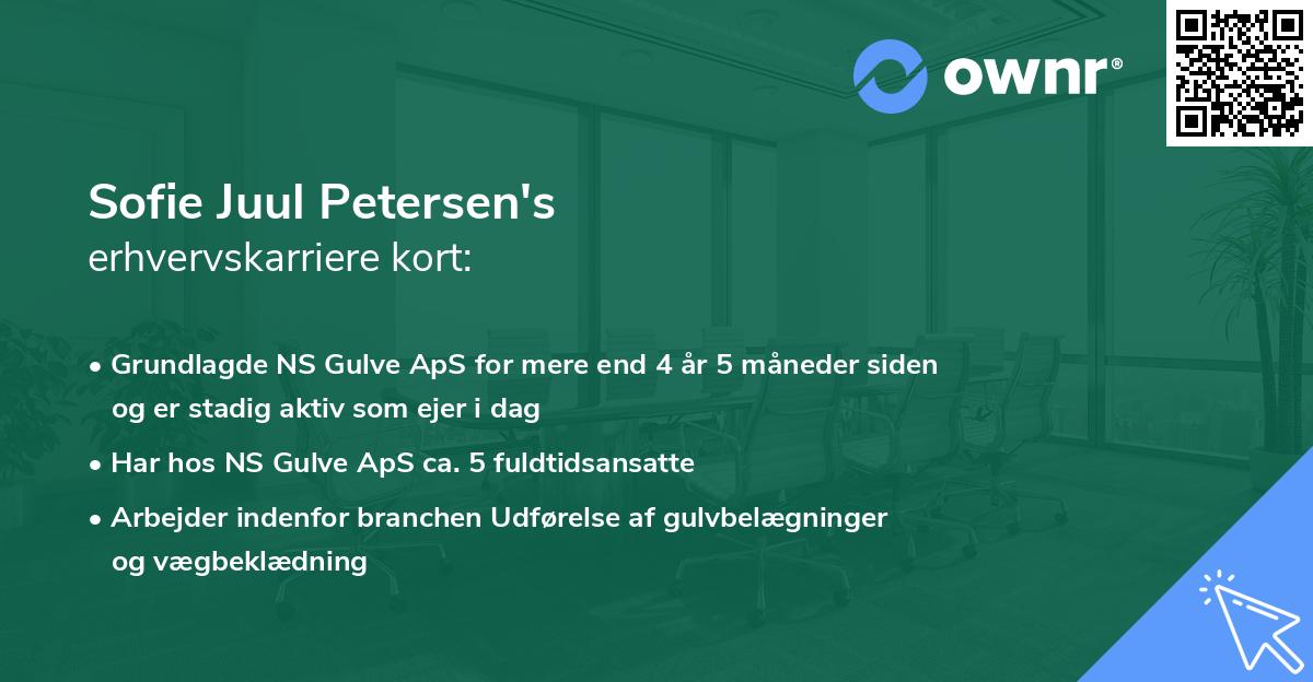 Sofie Juul Petersen's erhvervskarriere kort