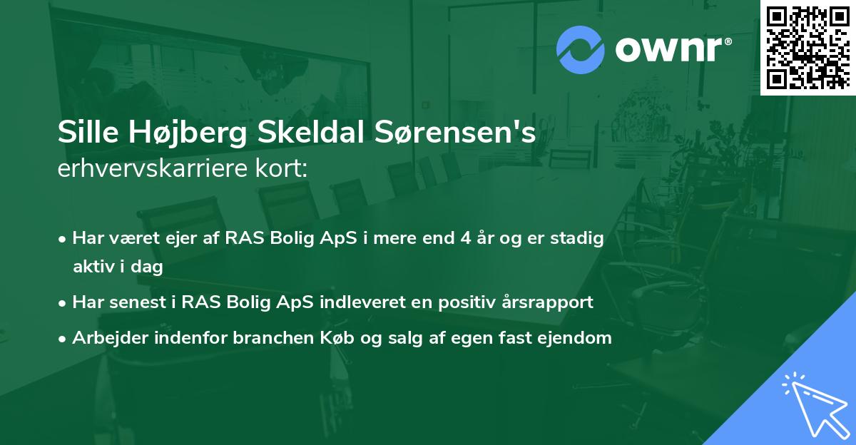 Sille Højberg Skeldal Sørensen's erhvervskarriere kort