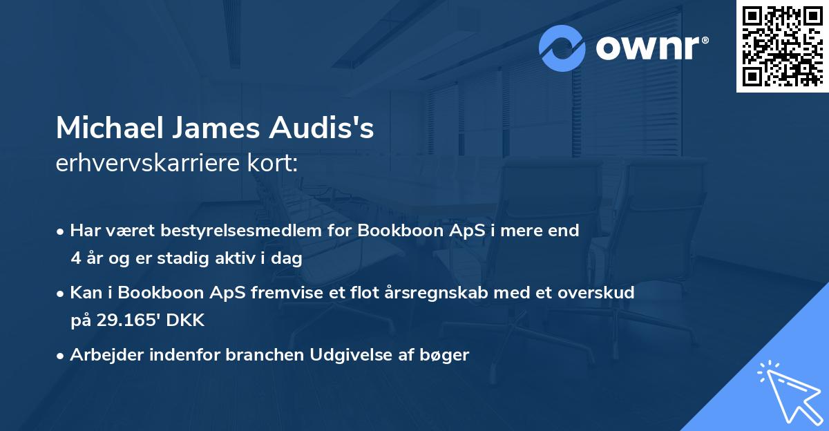 Michael James Audis's erhvervskarriere kort