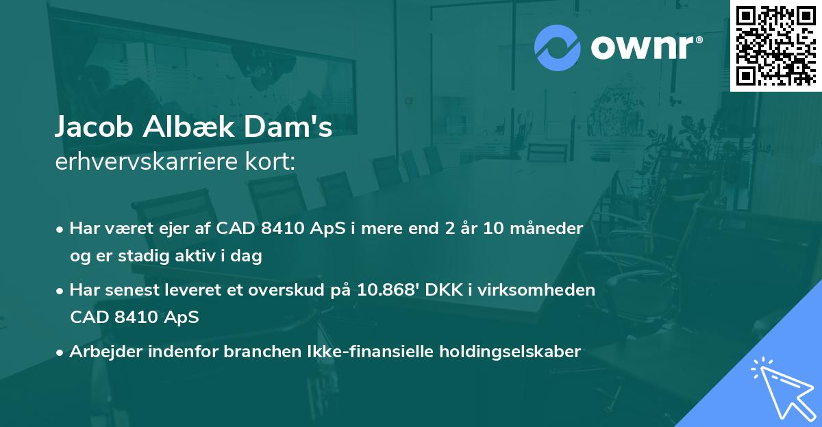 Jacob Albæk Dam's erhvervskarriere kort