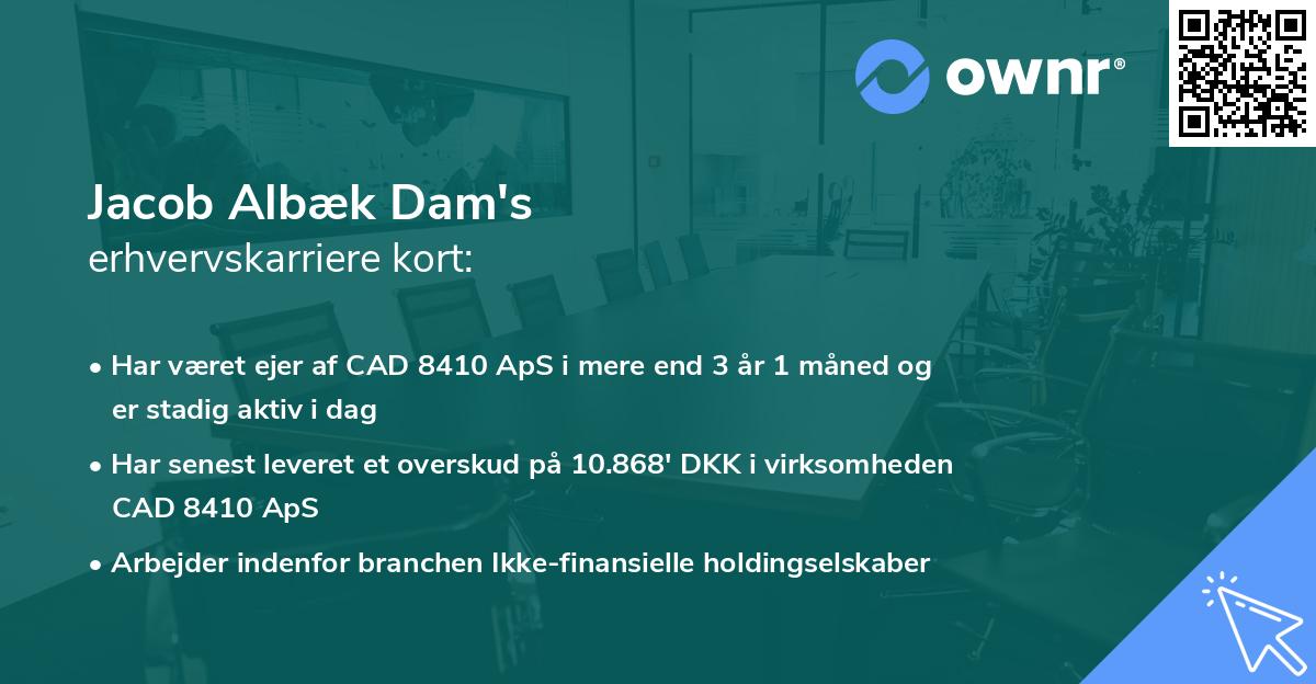 Jacob Albæk Dam's erhvervskarriere kort