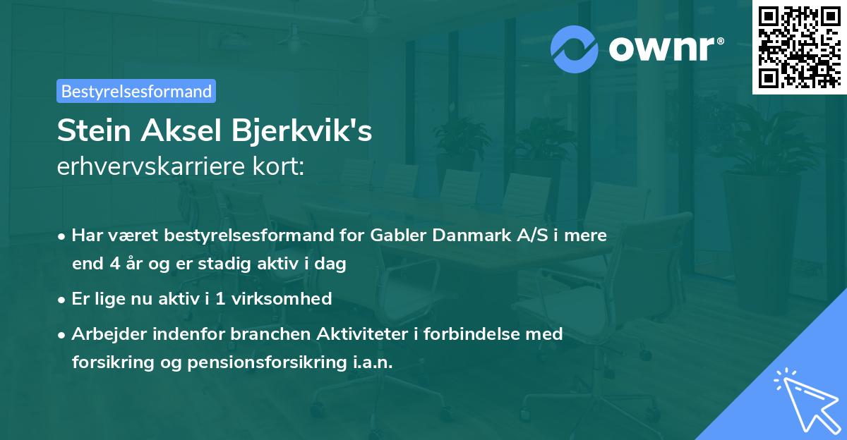 Stein Aksel Bjerkvik's erhvervskarriere kort