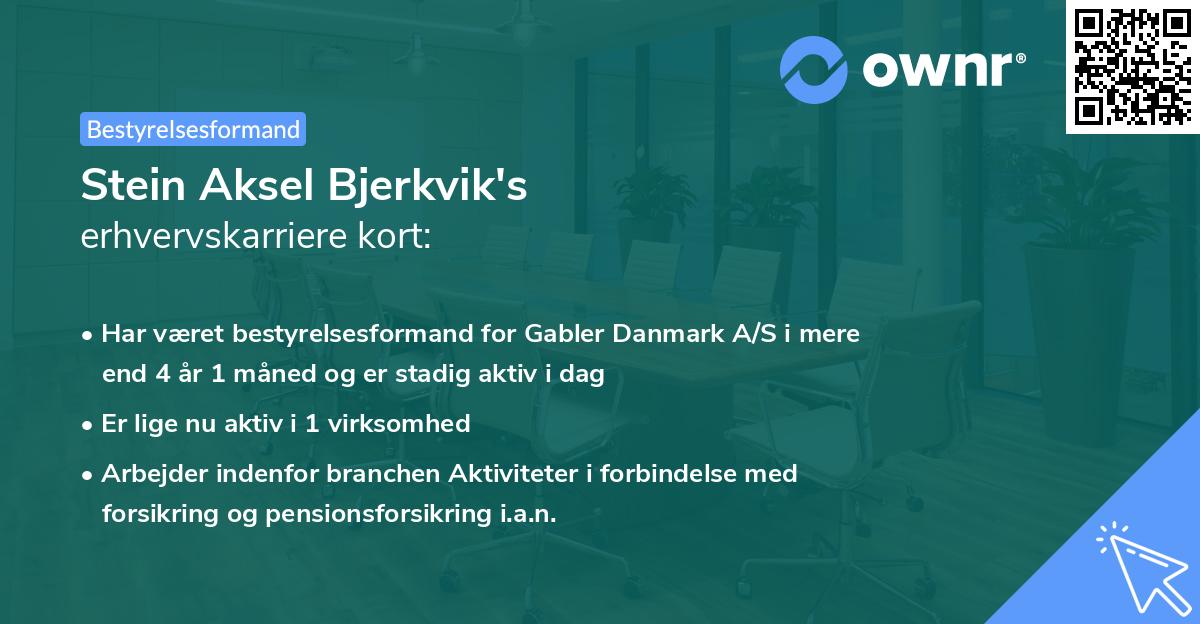 Stein Aksel Bjerkvik's erhvervskarriere kort