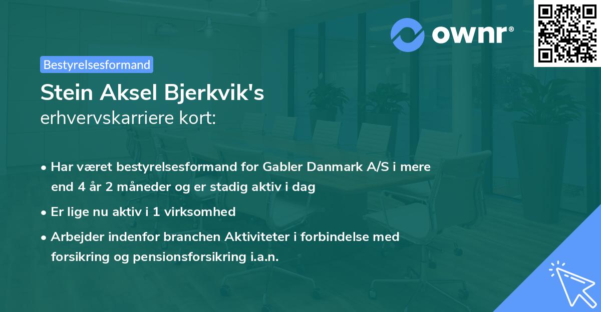 Stein Aksel Bjerkvik's erhvervskarriere kort