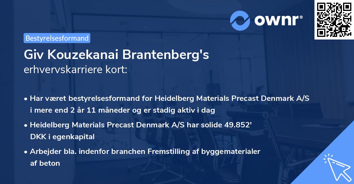 Giv Kouzekanai Brantenberg's erhvervskarriere kort