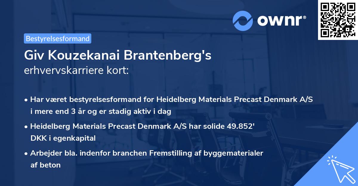 Giv Kouzekanai Brantenberg's erhvervskarriere kort