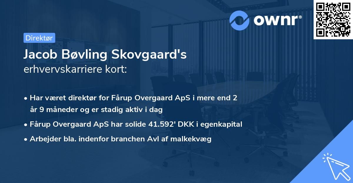 Jacob Bøvling Skovgaard's erhvervskarriere kort