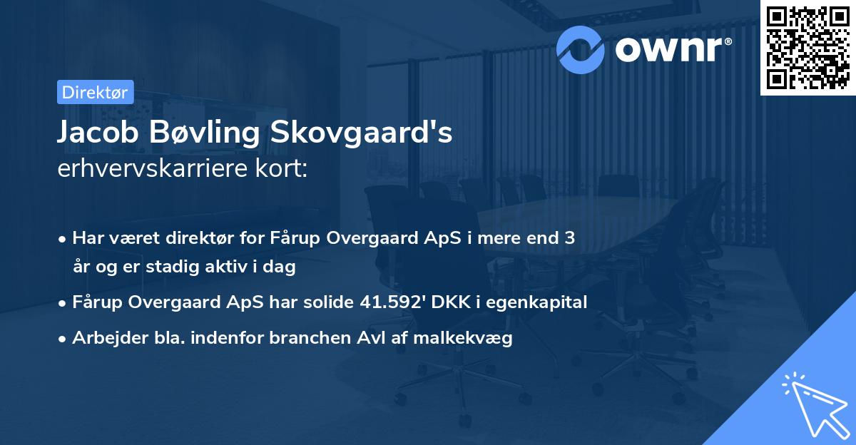 Jacob Bøvling Skovgaard's erhvervskarriere kort