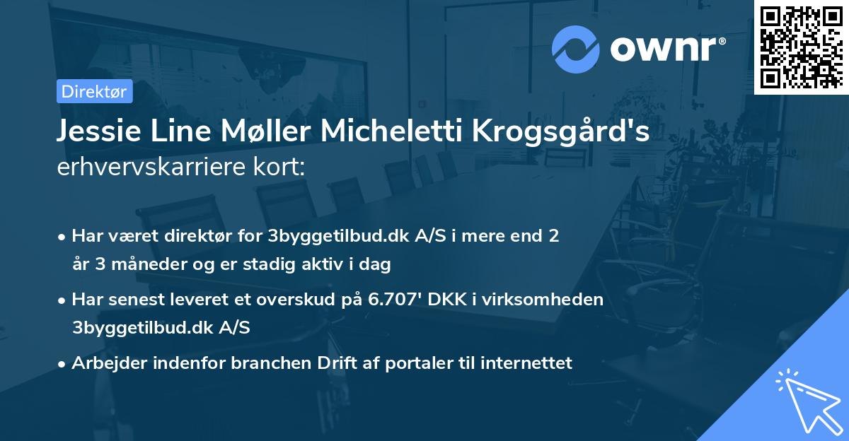 Jessie Line Møller Micheletti Krogsgård's erhvervskarriere kort