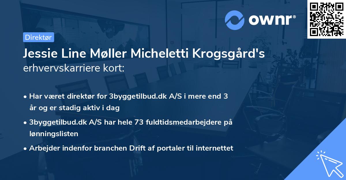 Jessie Line Møller Micheletti Krogsgård's erhvervskarriere kort
