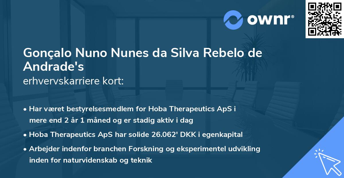 Gonçalo Nuno Nunes da Silva Rebelo de Andrade's erhvervskarriere kort