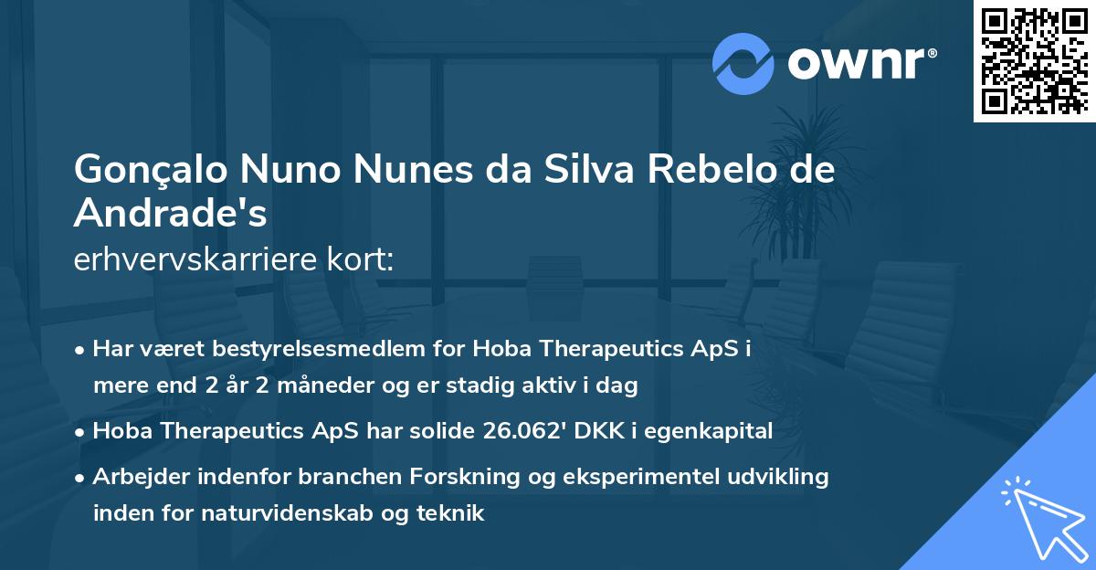 Gonçalo Nuno Nunes da Silva Rebelo de Andrade's erhvervskarriere kort
