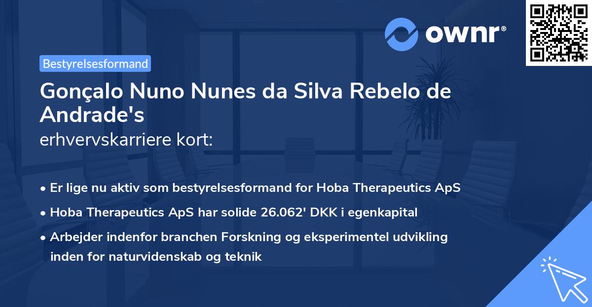 Gonçalo Nuno Nunes da Silva Rebelo de Andrade's erhvervskarriere kort