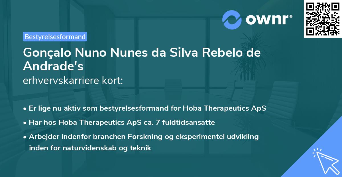 Gonçalo Nuno Nunes da Silva Rebelo de Andrade's erhvervskarriere kort