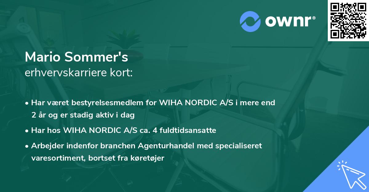 Mario Sommer's erhvervskarriere kort