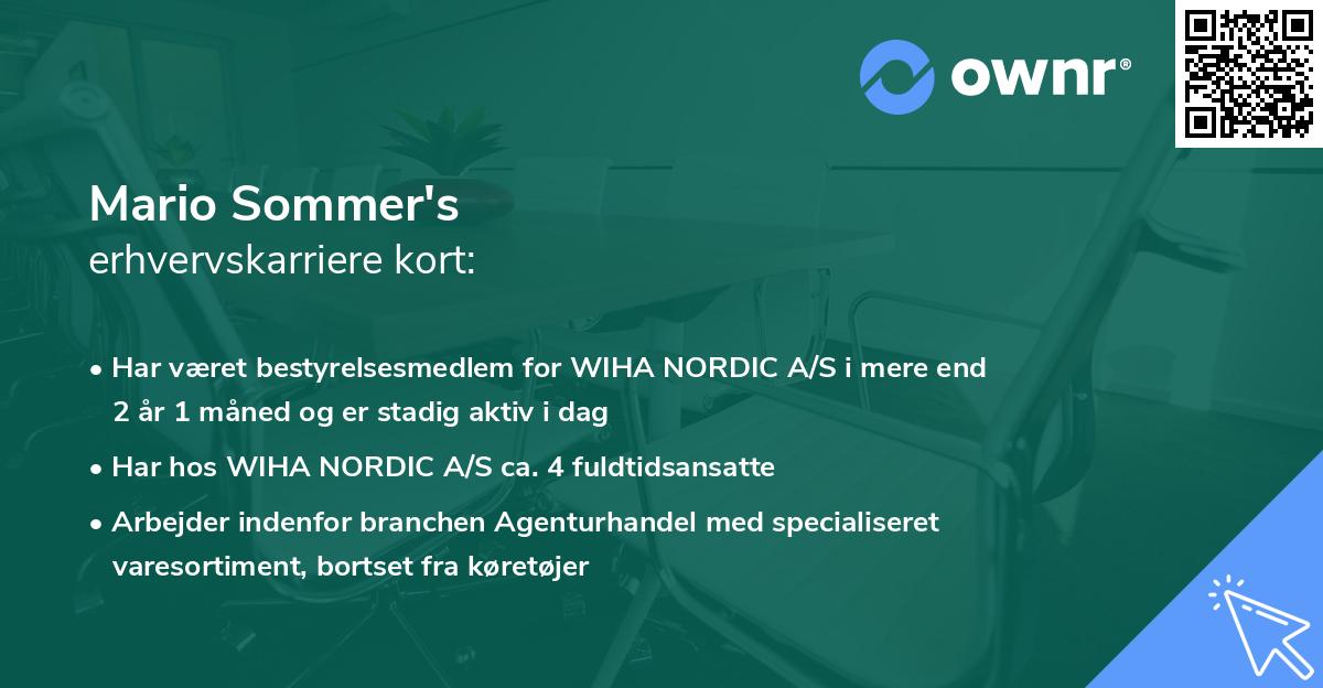 Mario Sommer's erhvervskarriere kort