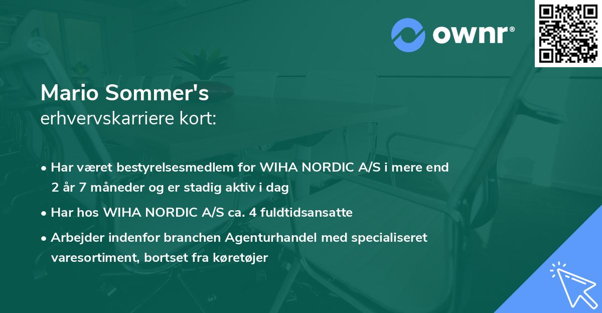 Mario Sommer's erhvervskarriere kort