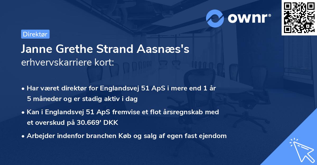 Janne Grethe Strand Aasnæs's erhvervskarriere kort