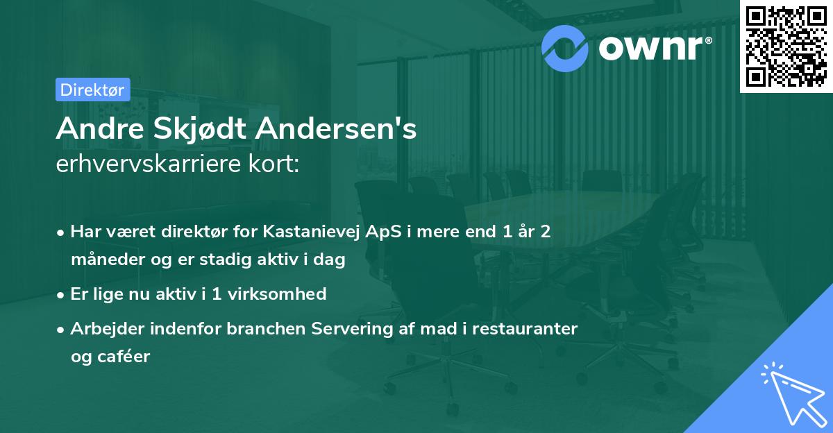 Andre Skjødt Andersen's erhvervskarriere kort