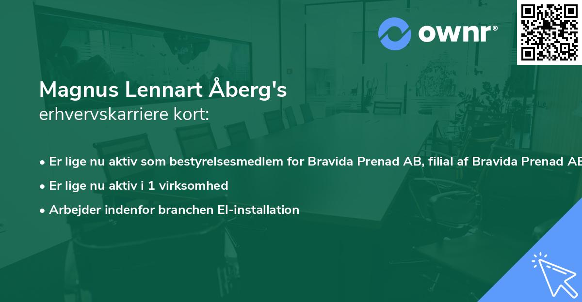 Magnus Lennart Åberg's erhvervskarriere kort