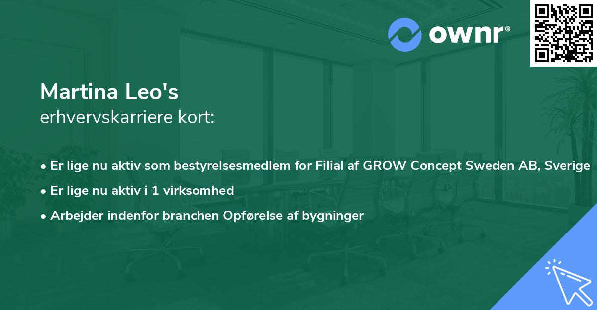 Martina Leo's erhvervskarriere kort