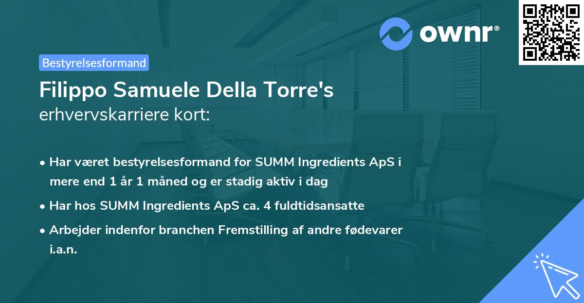Filippo Samuele Della Torre's erhvervskarriere kort