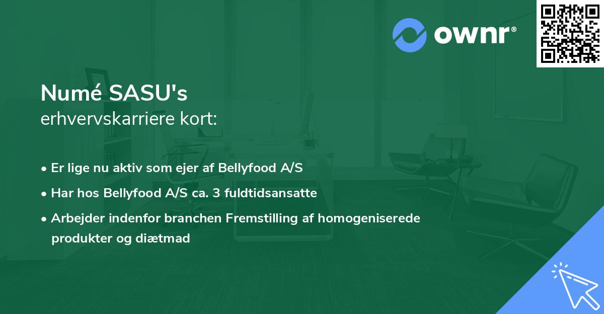 Numé SASU's erhvervskarriere kort