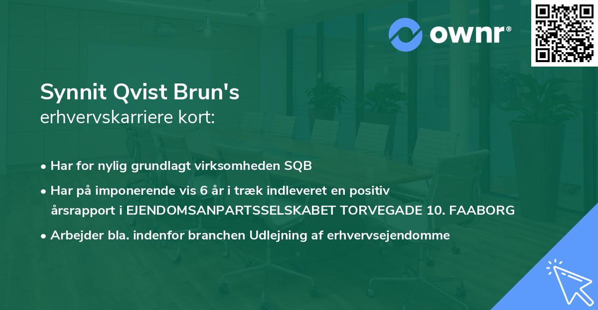 Synnit Qvist Brun's erhvervskarriere kort