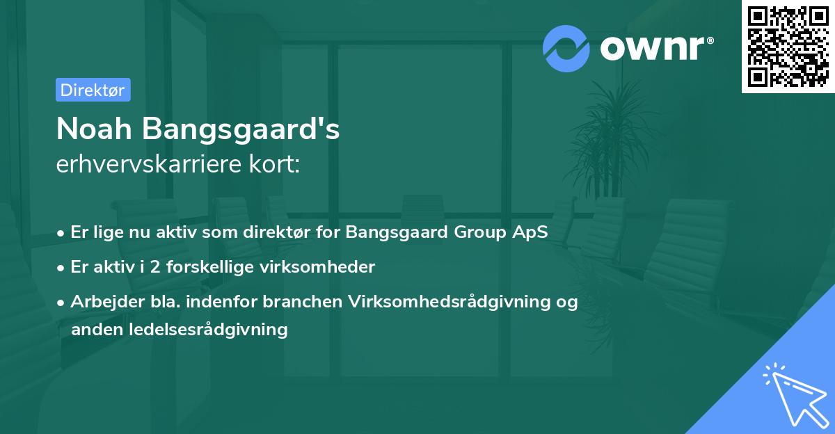 Noah Bangsgaard's erhvervskarriere kort