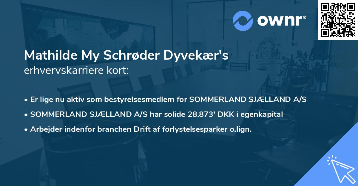 Mathilde My Schrøder Dyvekær's erhvervskarriere kort