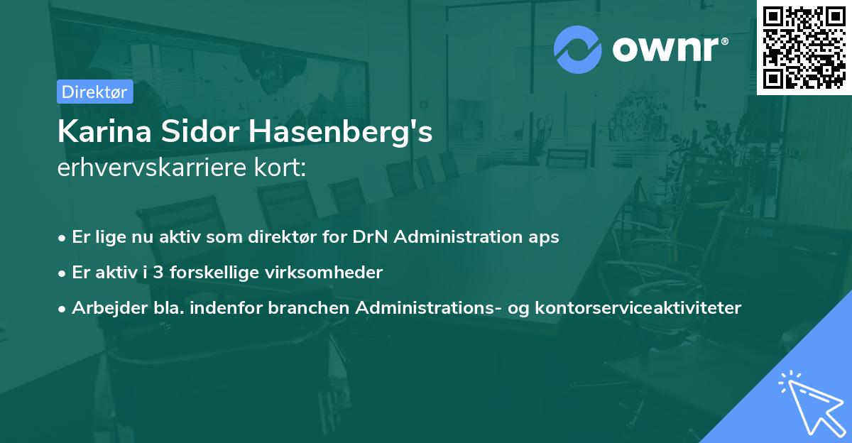 Karina Sidor Hasenberg's erhvervskarriere kort