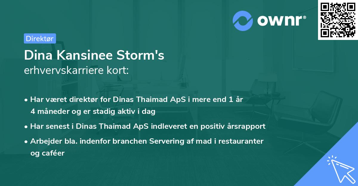 Dina Kansinee Storm's erhvervskarriere kort