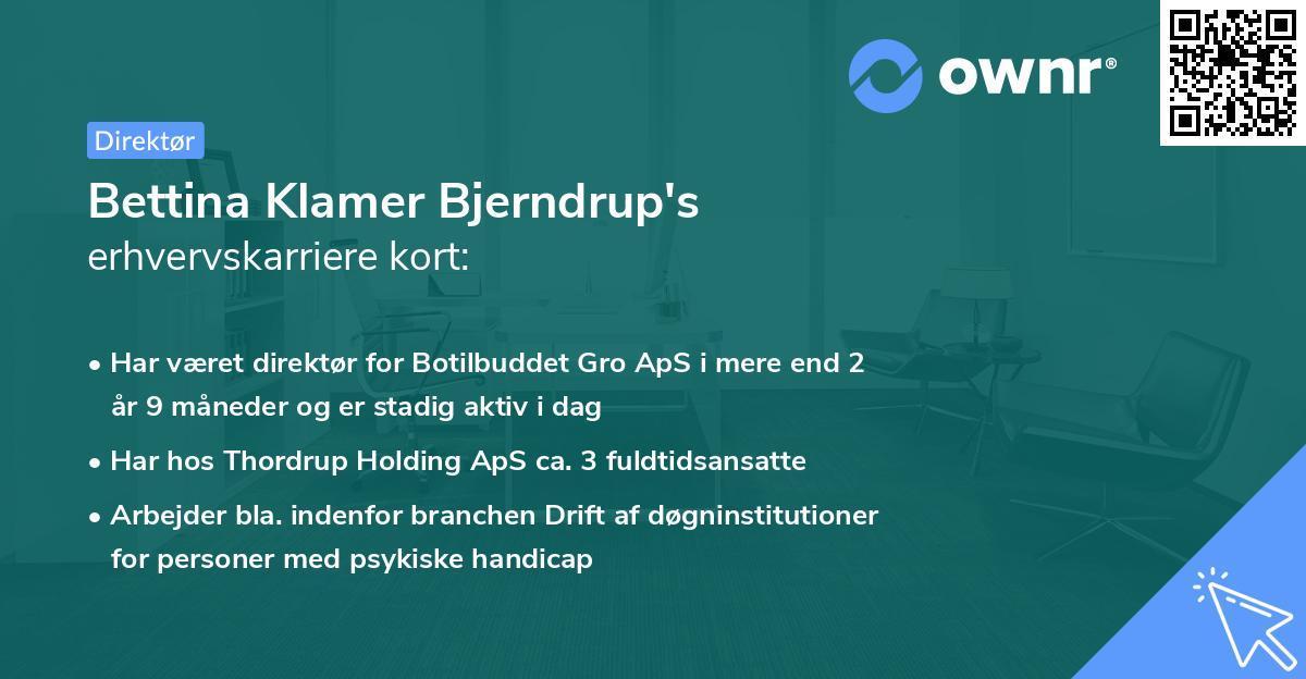 Bettina Klamer Bjerndrup's erhvervskarriere kort