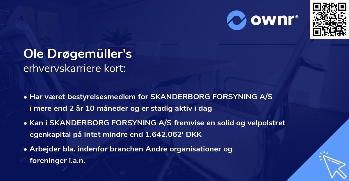 Ole Drøgemüller's erhvervskarriere kort