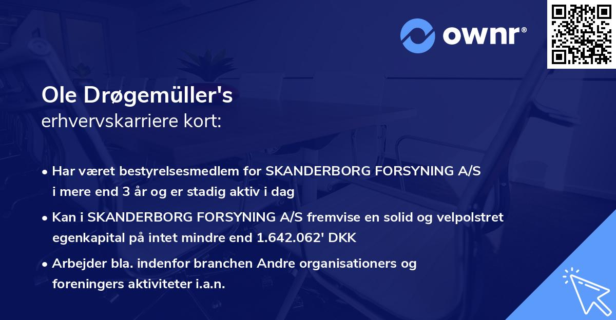 Ole Drøgemüller's erhvervskarriere kort