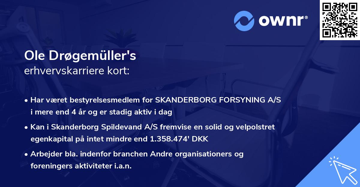 Ole Drøgemüller's erhvervskarriere kort