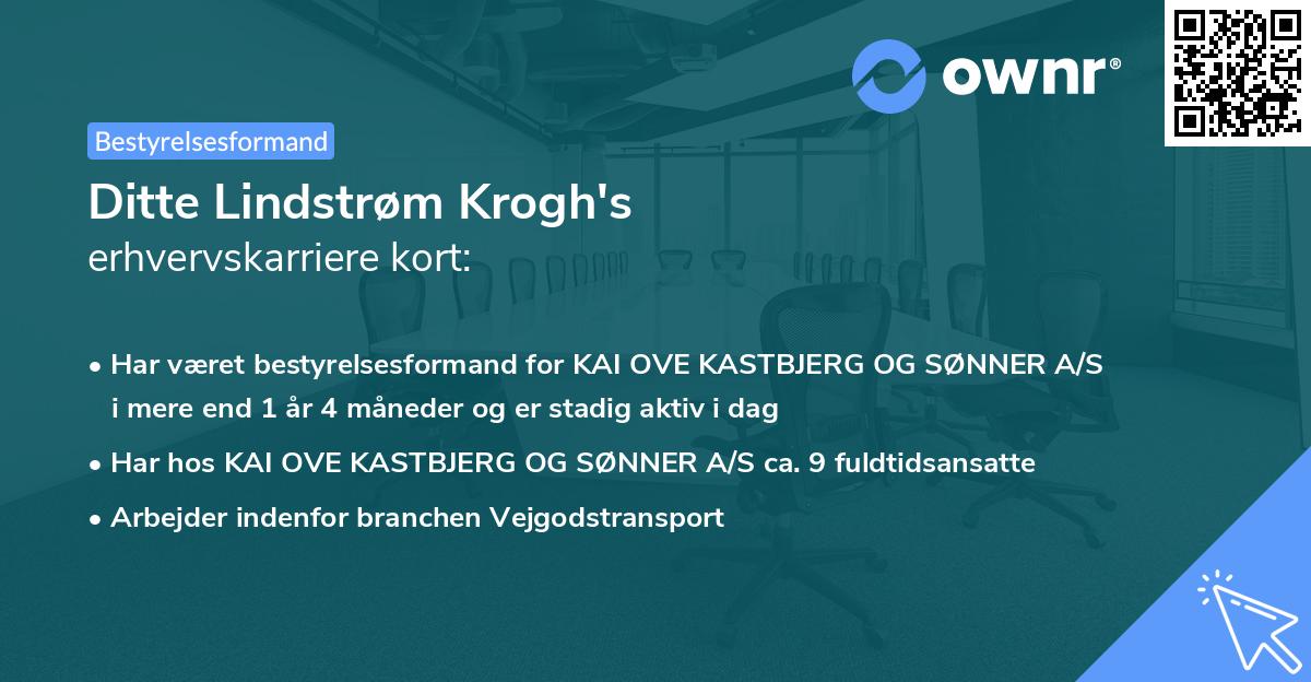 Ditte Lindstrøm Krogh's erhvervskarriere kort