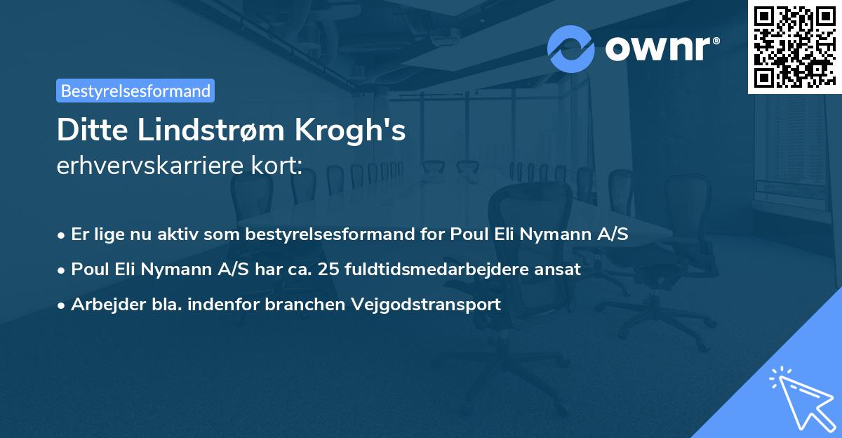 Ditte Lindstrøm Krogh's erhvervskarriere kort