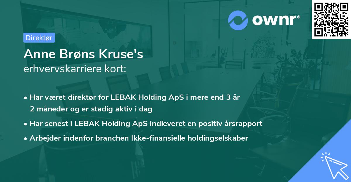 Anne Brøns Kruse's erhvervskarriere kort