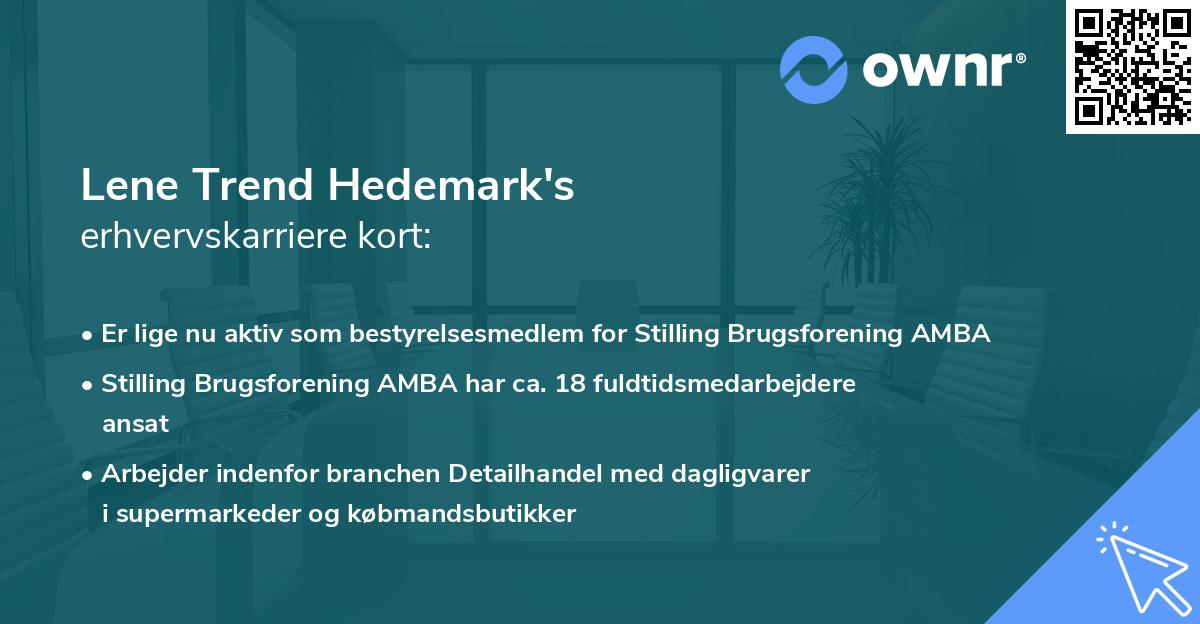 Lene Trend Hedemark's erhvervskarriere kort