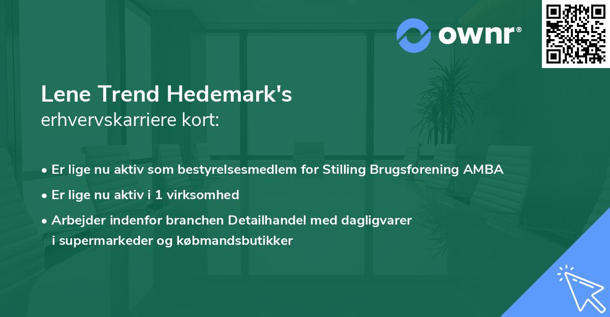 Lene Trend Hedemark's erhvervskarriere kort