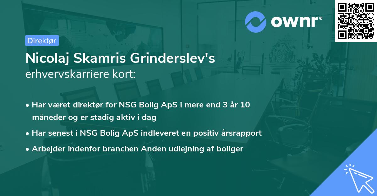 Nicolaj Skamris Grinderslev's erhvervskarriere kort