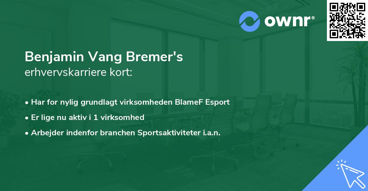 Benjamin Vang Bremer's erhvervskarriere kort